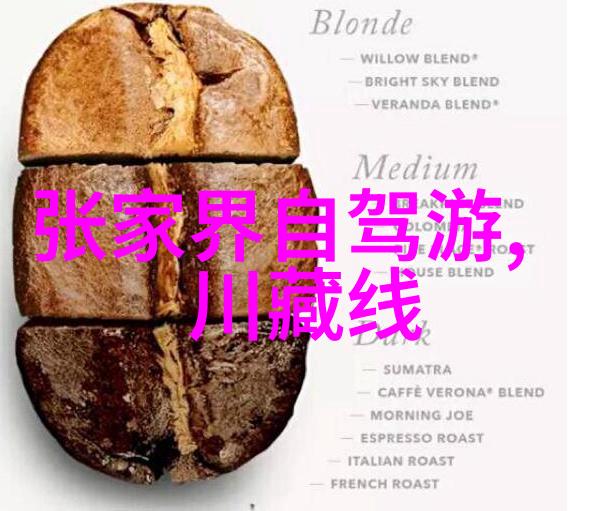 探索人间美游记之旅的艺术与感悟