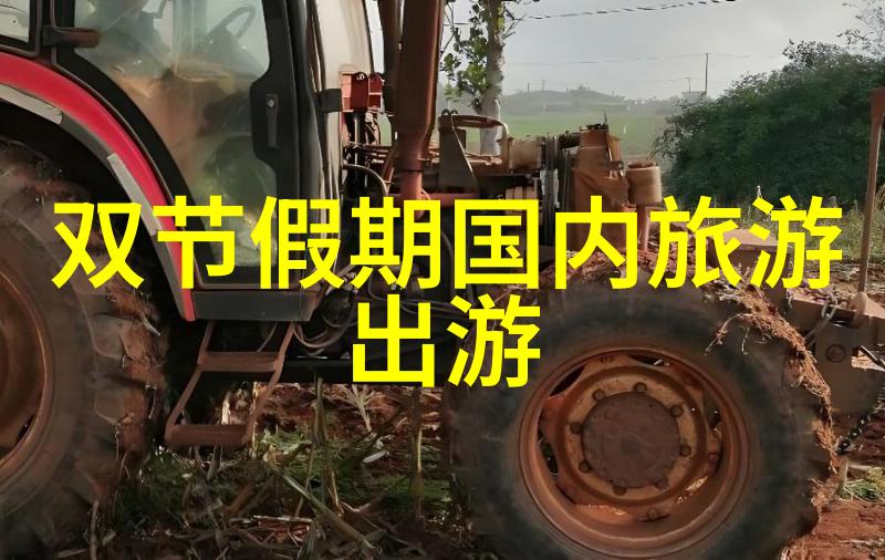 学步奇兵从教室到绿茵场的冒险