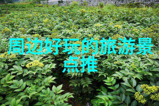 云南五花山旅游攻略一路畅游指南