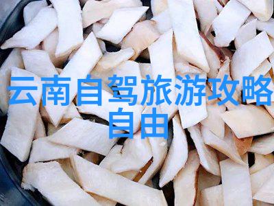 自制甜点有哪些小学生可以操作的基本技巧