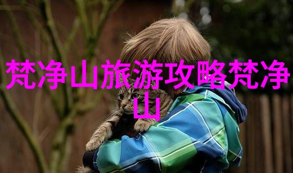 黄山探秘指南揭秘奇峰古木的神秘魅力