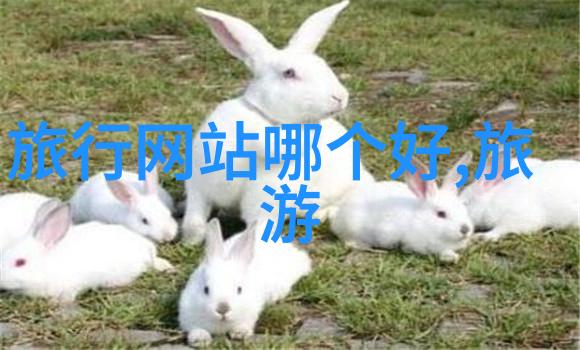 新开启的主题公园能吸引更多年轻游客吗