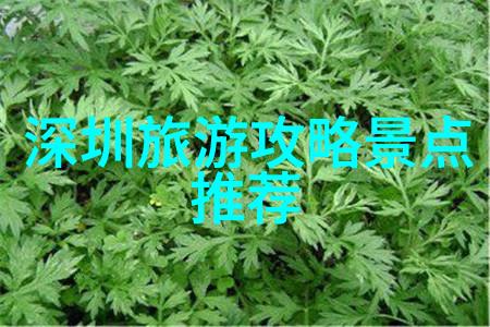 好玩消费低的旅游城市-探秘全球最划算的度假天堂从布达佩斯到新德里
