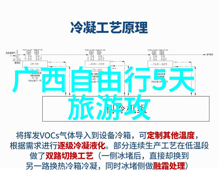 探索未知选择最佳旅行伴侣