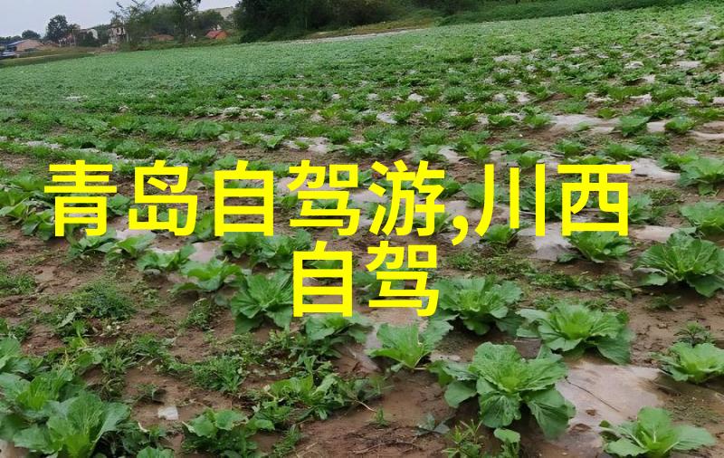华山过夜住宿攻略-登高望远选择最佳住宿点解析