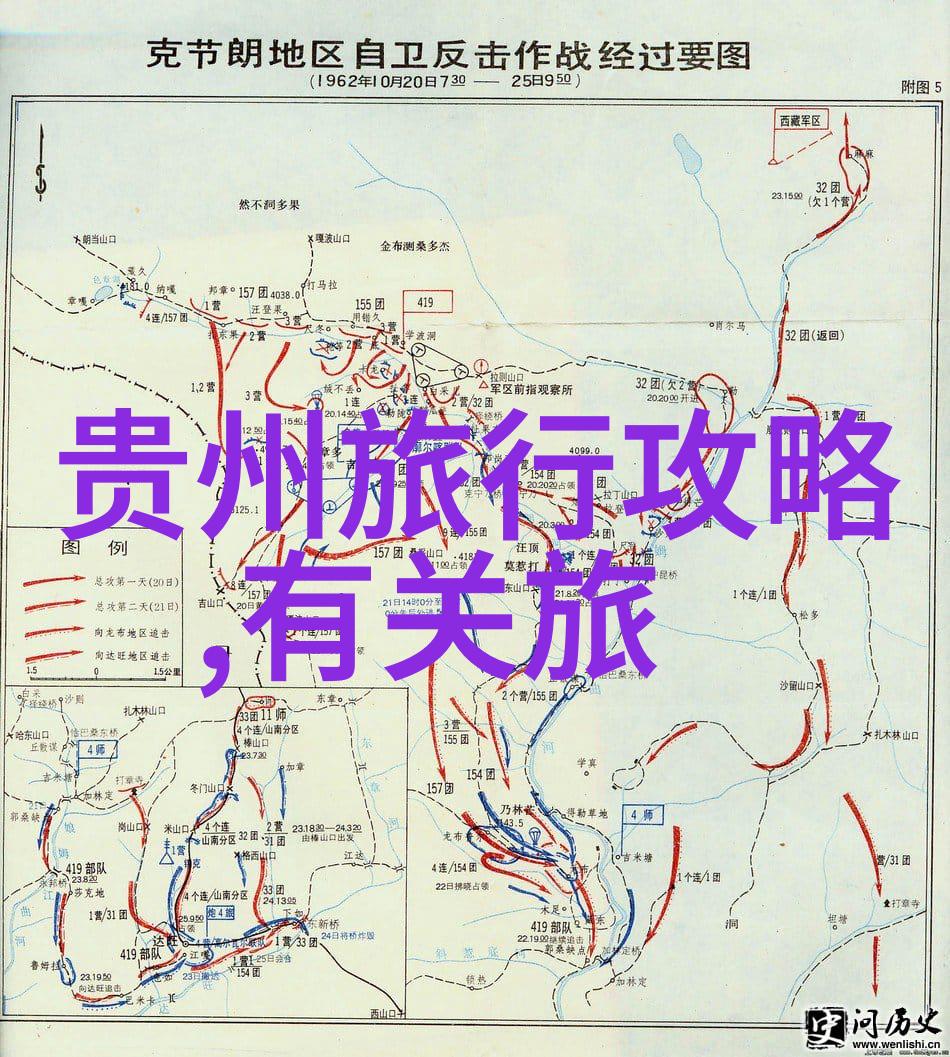 杭州寻找那片神秘的卡皮巴拉拍照圣地