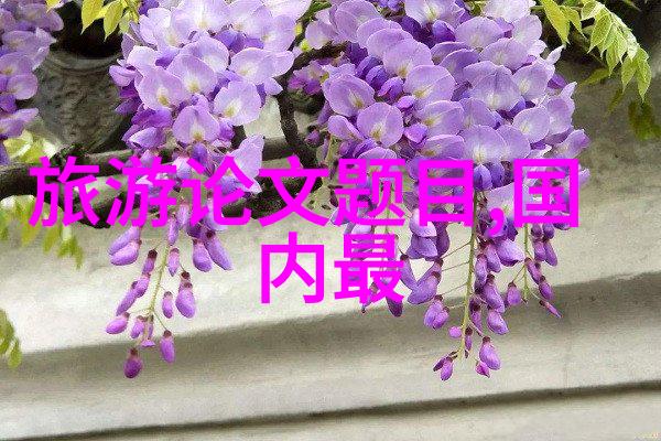 亲子旅行到老君山活动安排和小孩适宜区域推荐