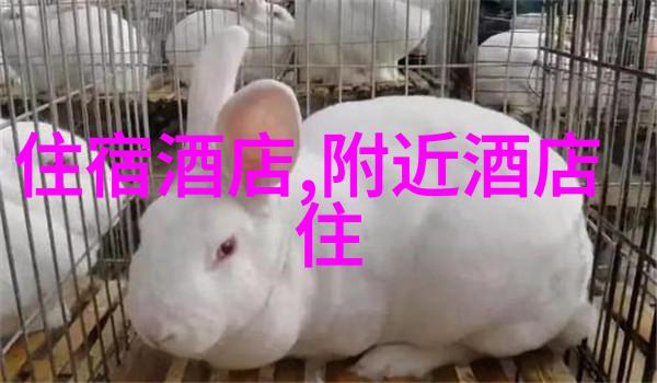 西藏自驾游必备攻略