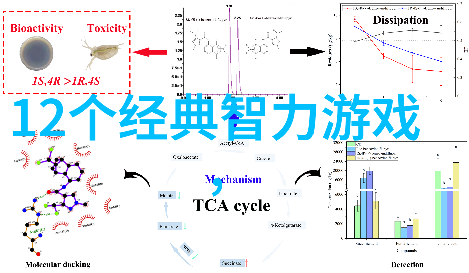 北京美食之旅揭秘老字号与新面孔