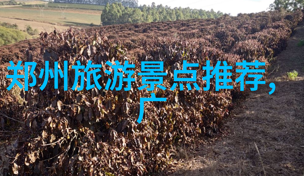 旅游景点作文600字-探索自然之美我国著名风景区的魅力