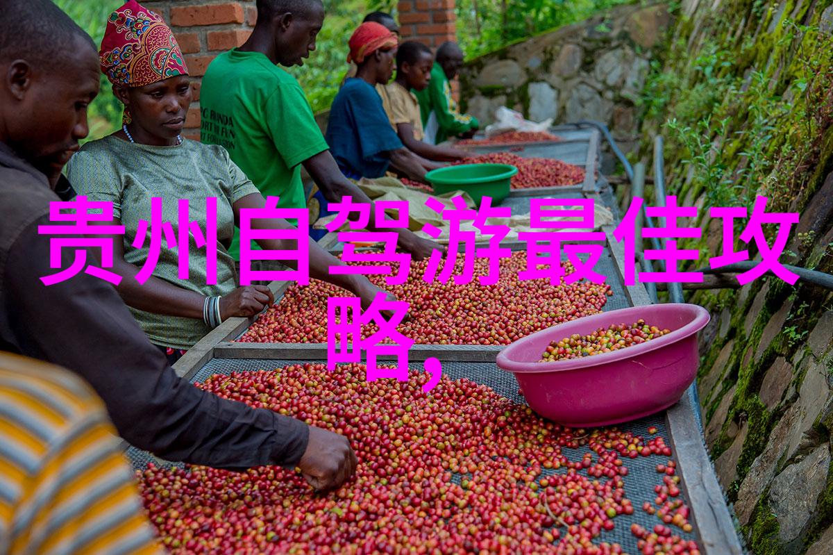 青岛游玩之谜探寻海岸线下的秘密