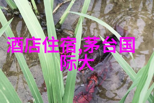 嵊泗列岛行前准备哪些物品不可或缺