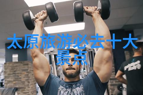 数据驱动的拉萨游记探索600字初二作文中的景点推荐