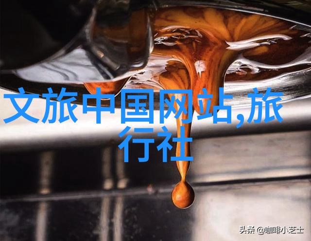 风驰电动探索骑行生活的快乐与挑战