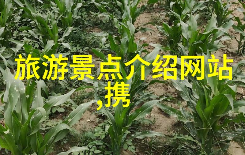 环太湖骑行之旅探索太湖周边美丽风景