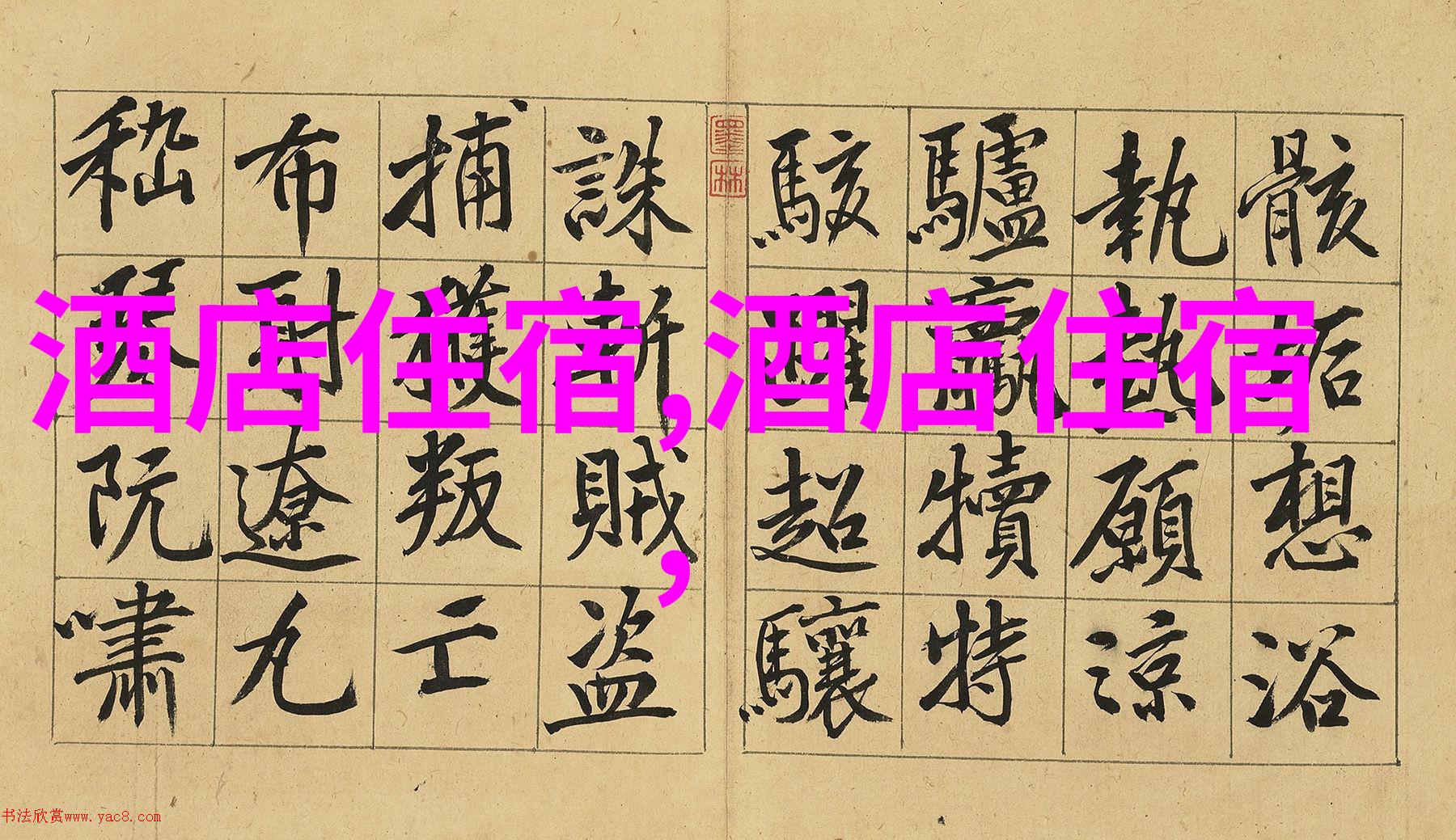 骑行网骑行社区自行车分享城市骑行安全