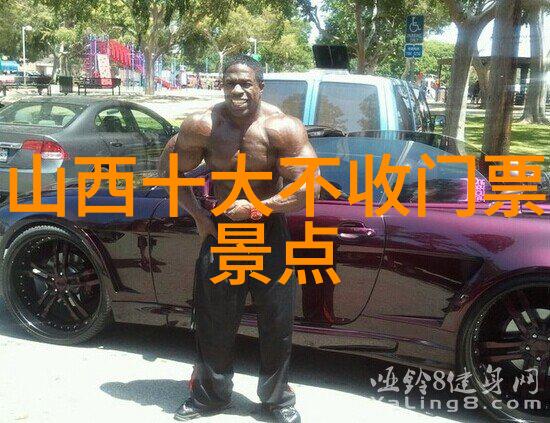 甘南美景探秘藏区风情与自然奇观的旅途