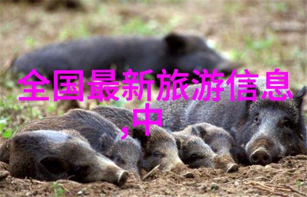 夏日避暑胜地海岛山区与城市之选
