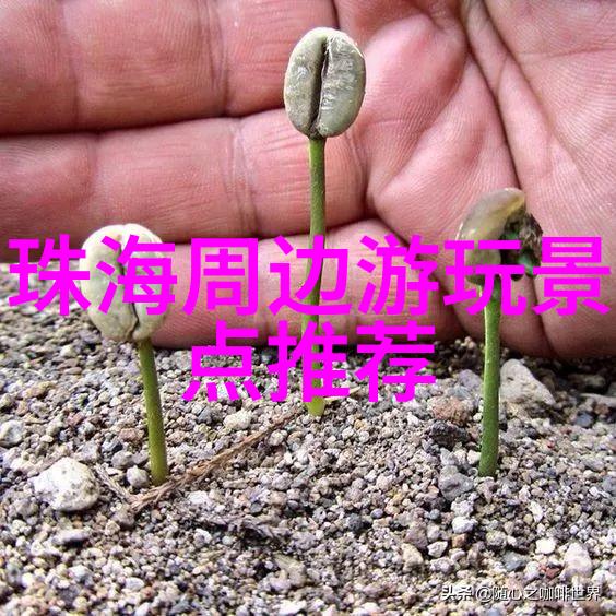 户外活动与舒适休闲相结合创意设计的高端三个家庭公寓转运货卡式游动房屋