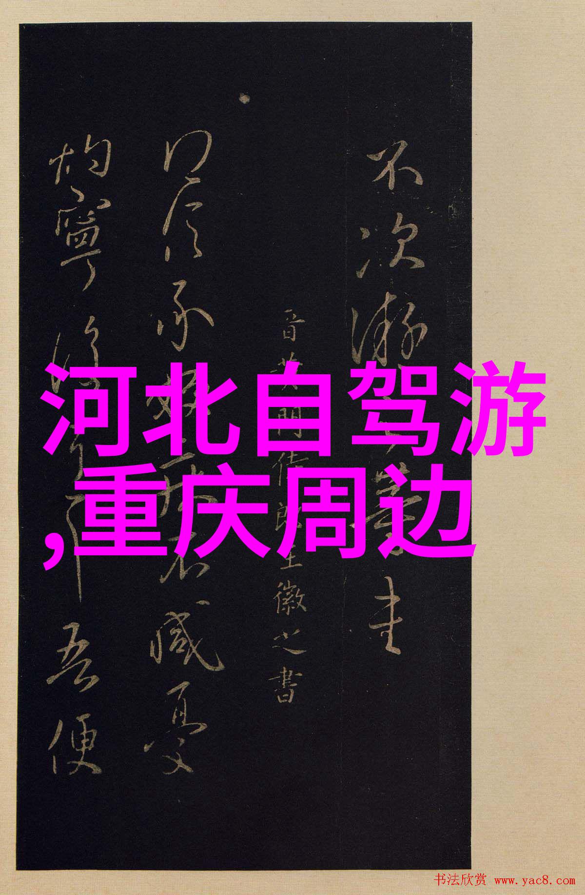 秘密森林团建未解之谜与共同的胜利