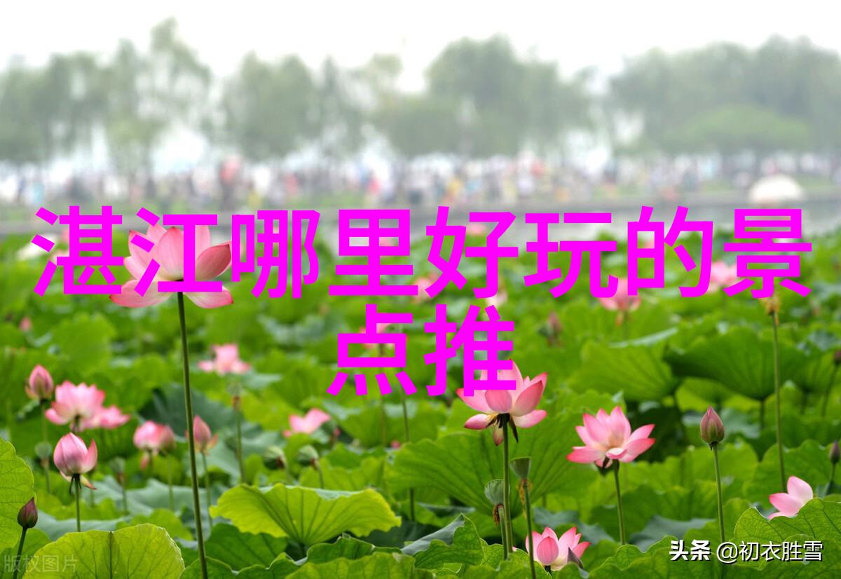 云南梦幻之旅翠峦秀水间的探索路线