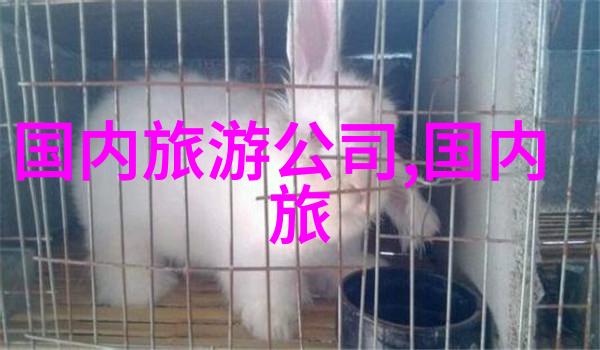 办公室乐趣大集合15个提高工作效率的小游戏
