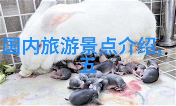 贵州自驾游攻略探秘黔东南的迷人风光