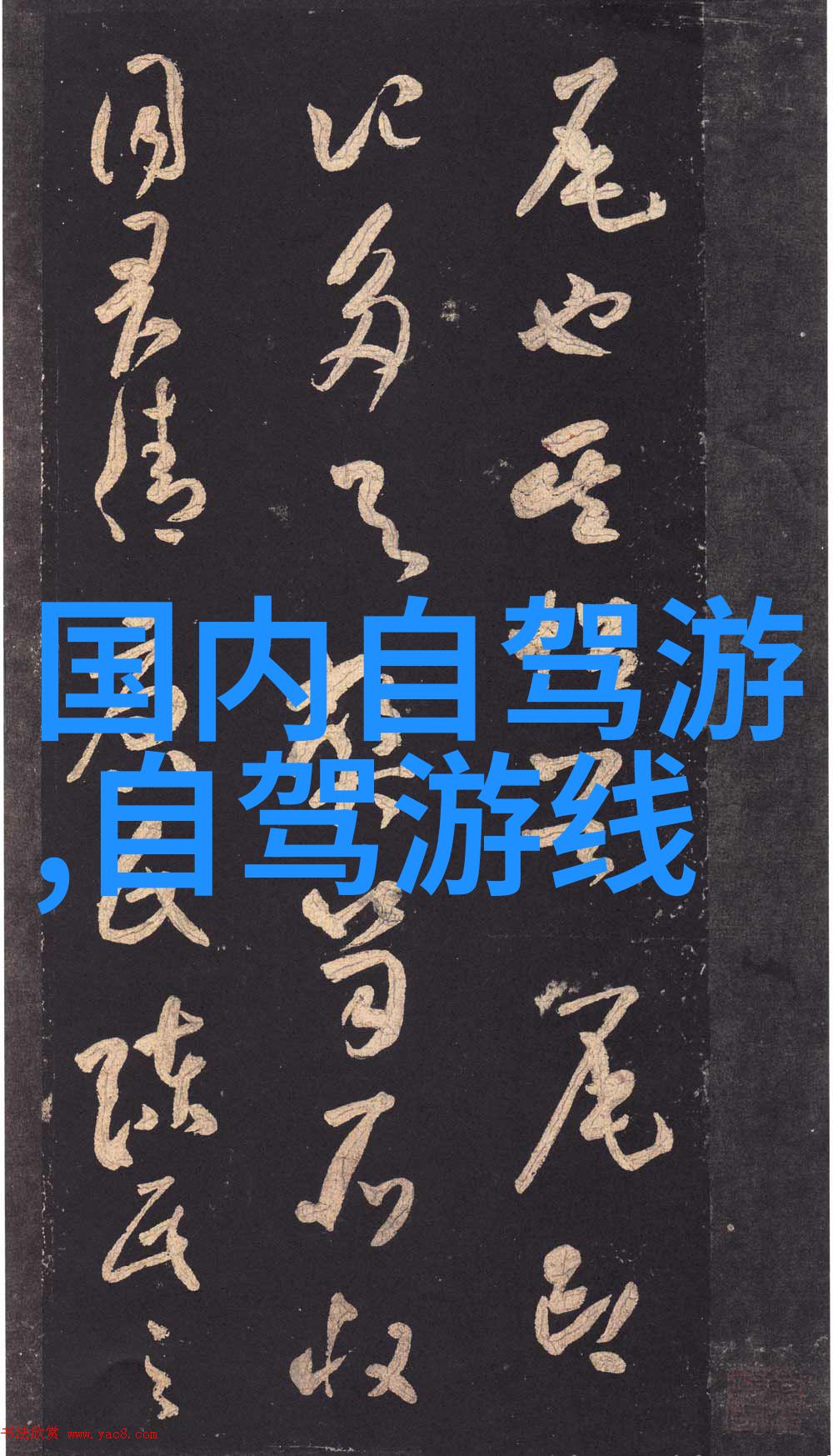 西双版纳酒店-在云南西双版纳的热带风情之旅探索一家特色酒店