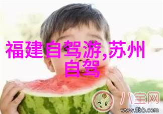 放飞梦想 亲子共筑未来  幼教机构家庭参与型户外活动