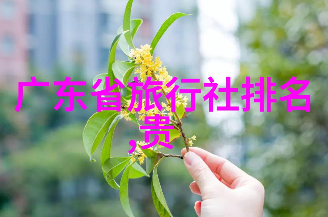 风华正茂我在云南的600字游记