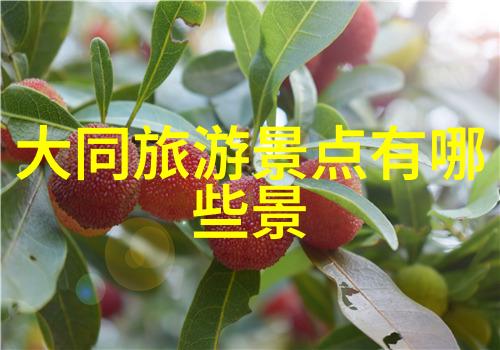 青海旅游攻略必去景点大全我走过的那片蓝色天地青海旅行不容错过的地方