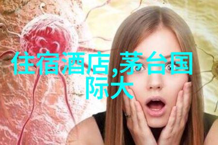 近期关于旅游的新闻探索文化之旅共享温暖时刻  泰山景区举办爱心献三工新年送祝福活动