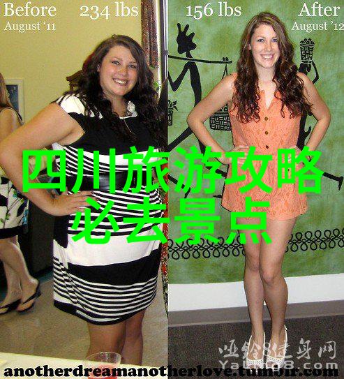 旅行软件大比拼哪个app能让你不再是行李箱里的小包子