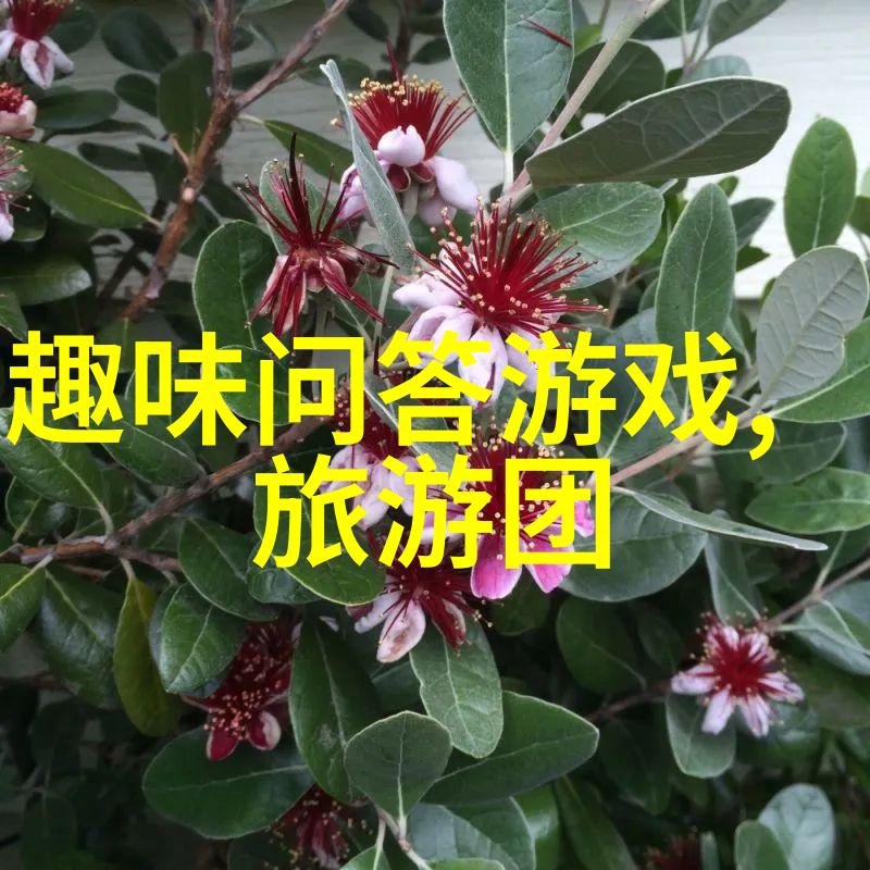 滑雪场地图不用找来我们这儿团建吧2022年武汉周边滑雪场名单大曝光