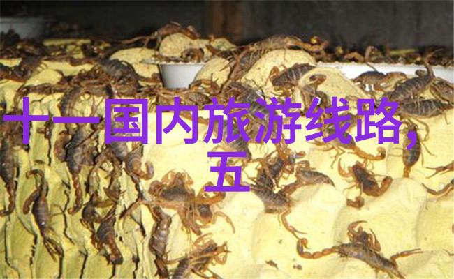 冰雪奇缘北欧国家冬季旅行指南