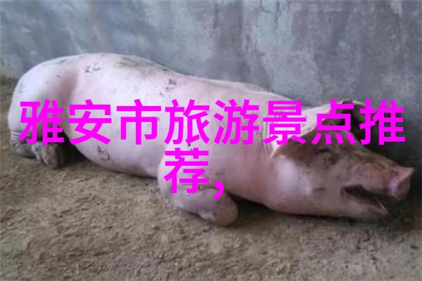 上海日结城市之脉中的谜团