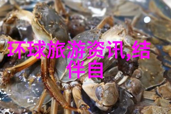 游历古都探索千年文化的足迹