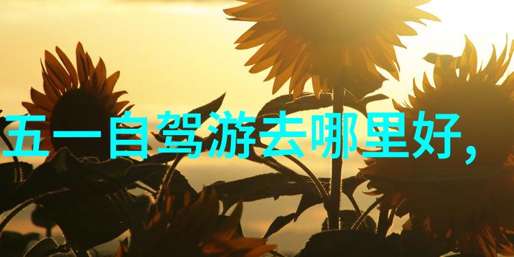 成都自驾游探索四川美食与自然风光