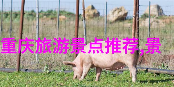 春暖花开的旅途探秘三月国内最佳游踪地