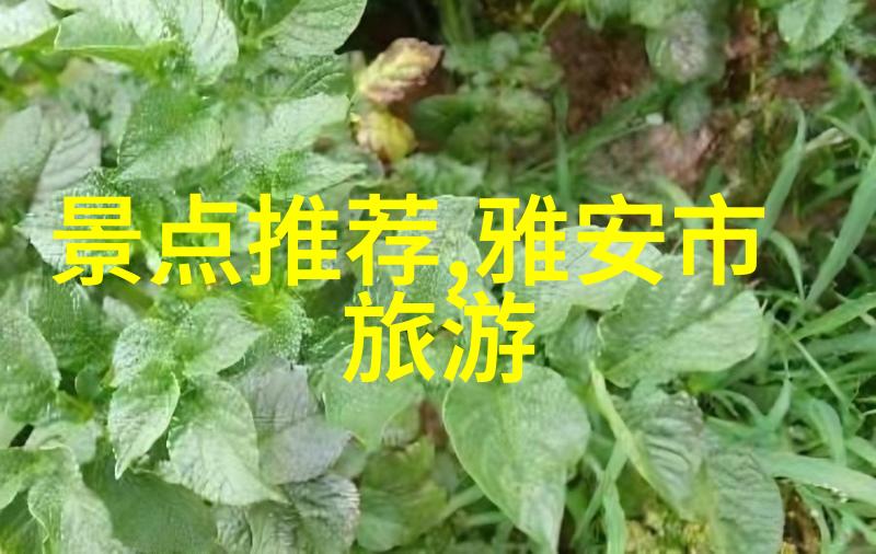 成都万达瑞华酒店盛邀宾客体验厦门自由行住宿攻略瑞享春日佳肴