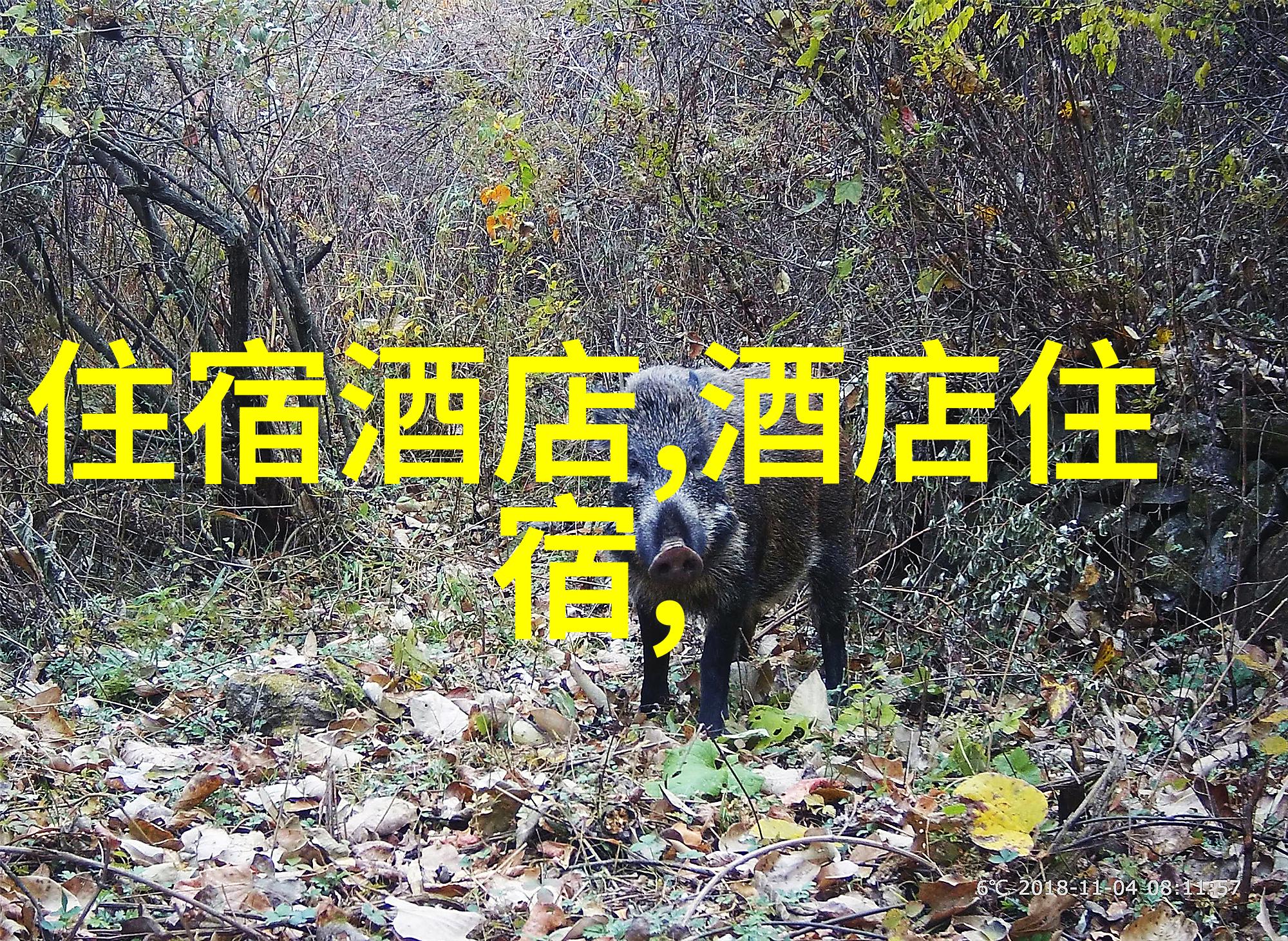 重庆自驾游探秘重庆美食重庆山城重庆大峡谷