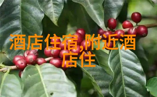探秘十一旅游线路领略国门之旅的魅力