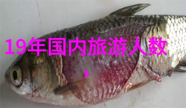 户外团建激发团队精神的冒险游戏挑战