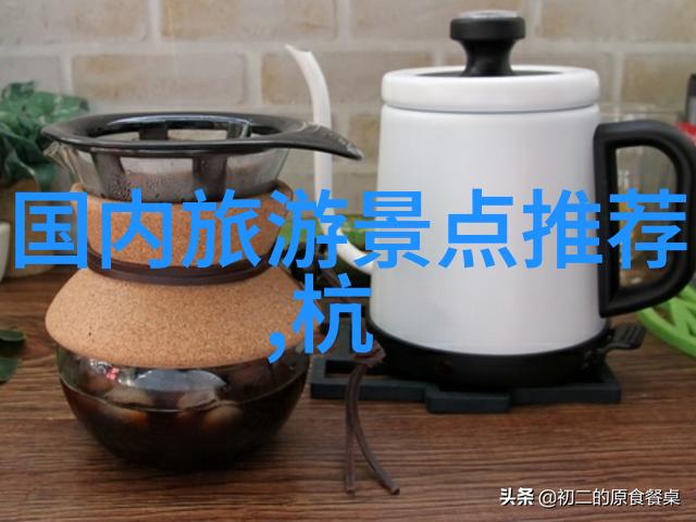麦苗WINGYING的翱翔之旅从田野到天空的梦想篇章