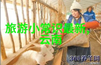 为何说尝鲜是探索九江美食界的最佳方式