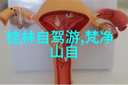 广州自行车骑行探索揭秘市区隐藏美景