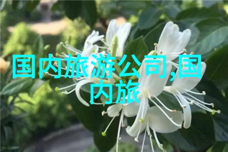 四川自驾游我的山水情缘探索