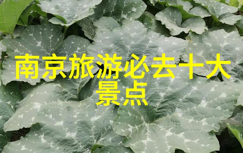 西安美食行走记品味古城风味佳肴
