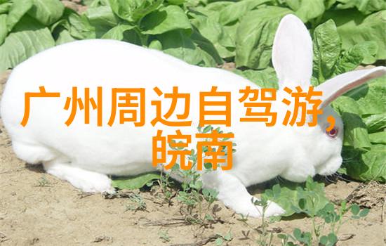 广州塔景色迷人一览众多精彩图片