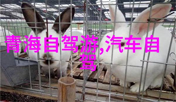 国内旅游景点大全我的中国旅行指南一站到底的趣味行程